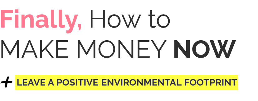 Earn Cash @ Home or on the go